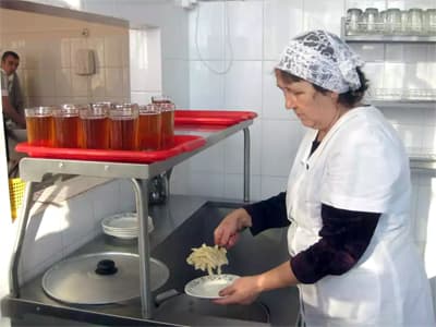 Из школ, детских садов и больниц Башкирии исчезнут все повара, водители и уборщицы