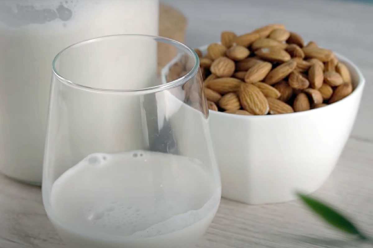 «Пить или не пить?»: Вся правда о растительном молоке от эксперта Роспотребнадзора Маргариты Провоторовой
