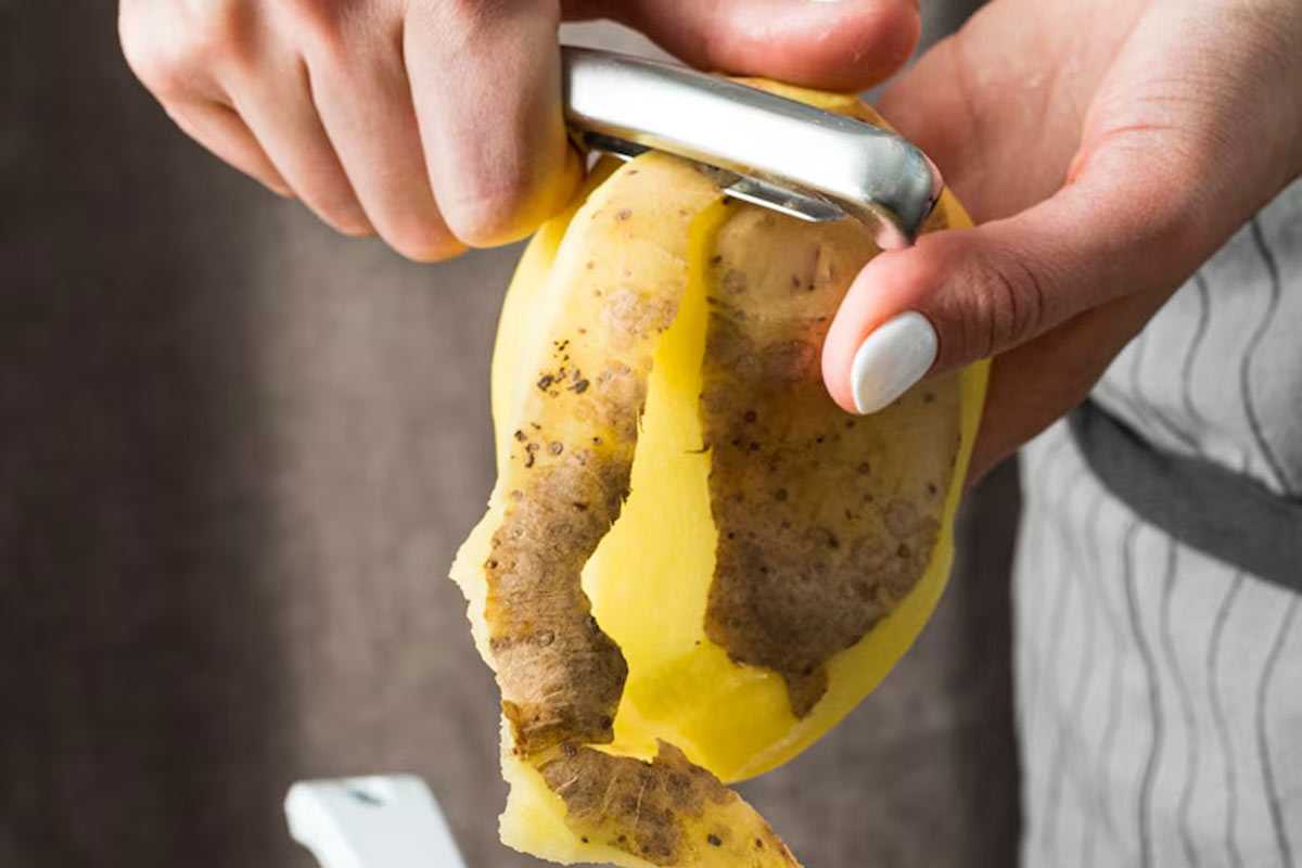 Не выбрасывайте картофельные очистки: вот какую пользу они могут принести вашему огороду