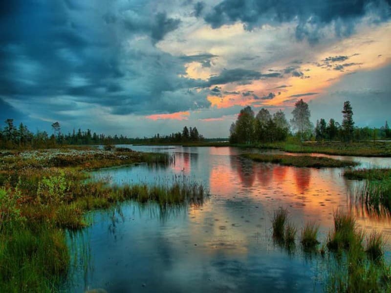 Большое Васюганское болото - природный феномен, не имеющий аналогов в мире