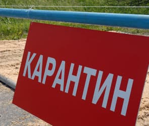 В Мелеузовском районе Башкирии ввели карантин по бешенству