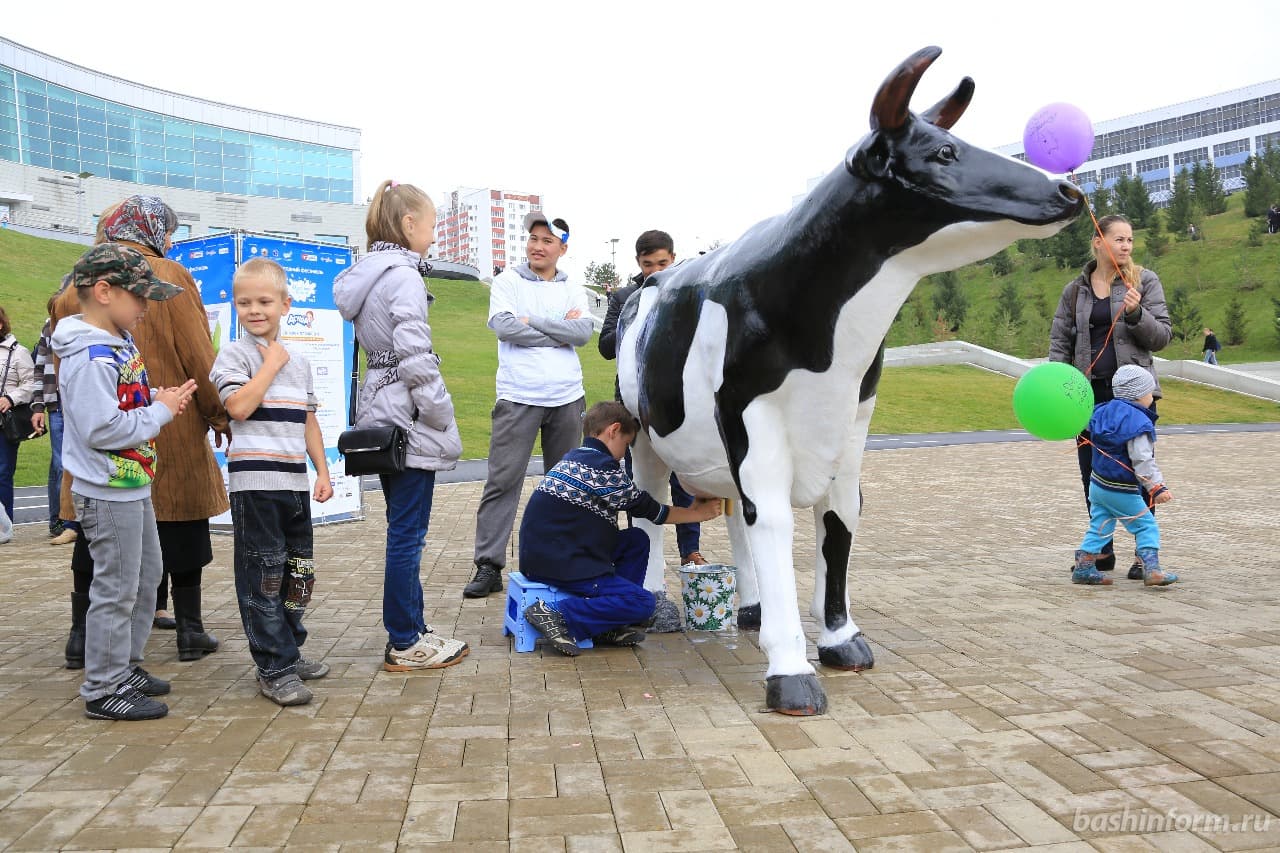 25 августа в Уфе пройдет фестиваль «Молочная страна 2018»