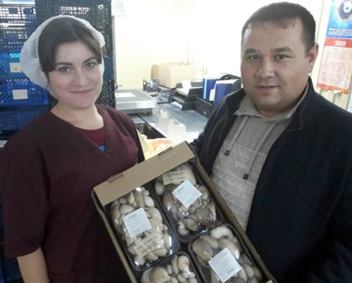 Башкирские аграрии изучили современные технологии выращивания грибов