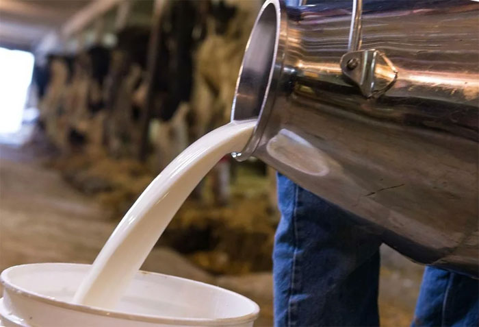 В Башкирии производство молока выросло на 20 тысяч тонн