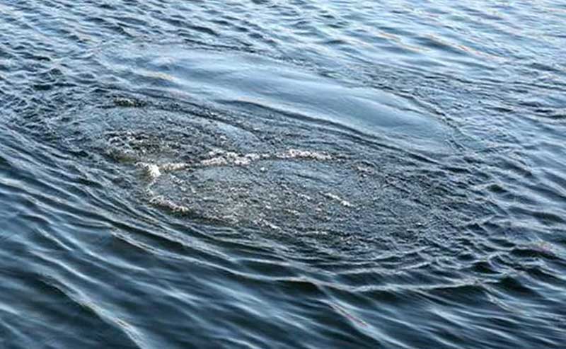 В Альшеевском районе Башкирии 11-летний мальчик утонул, купаясь в реке с родителями