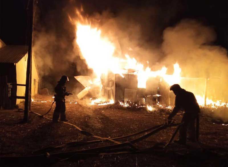 В Башкирии на ферме во время пожара погибли 20 телят