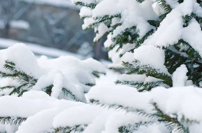 В Башкирии 21 декабря 2022 года ожидаются снегопады и морозы до -28°