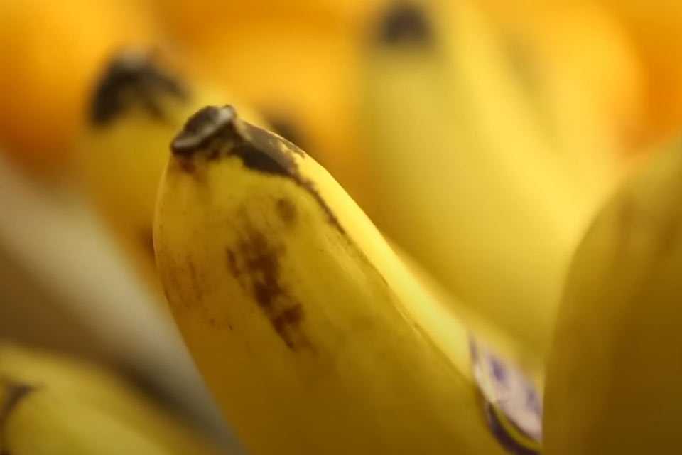 Любимый миллионами фрукт под запретом: в России обнаружили опасные бананы — цены удивят