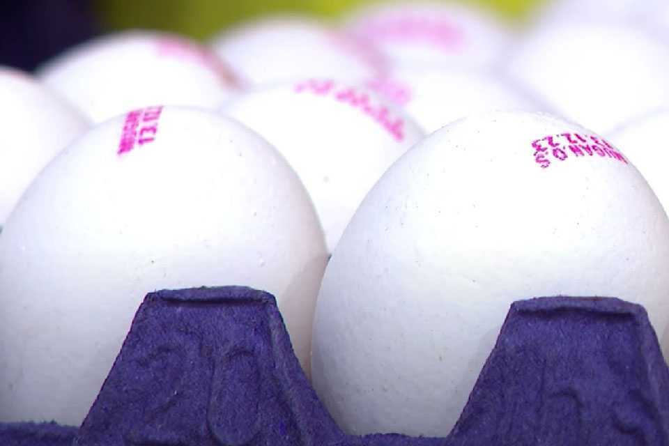 У покупателей в глазах настоящее удивление от цен на яйца: такого не ожидали
