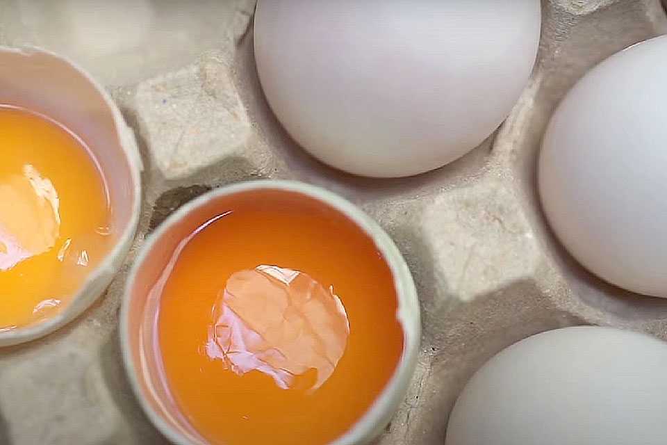 Центральный банк сделал заявление по ценам на яйца: как раньше не будет