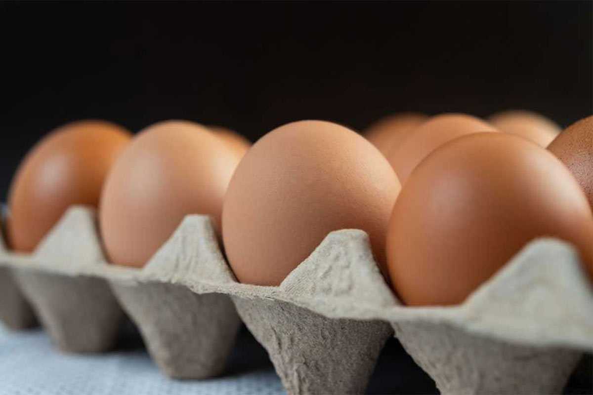 Теперь полный запрет: с 14 марта приняты новые меры борьбы с дорогими яйцами
