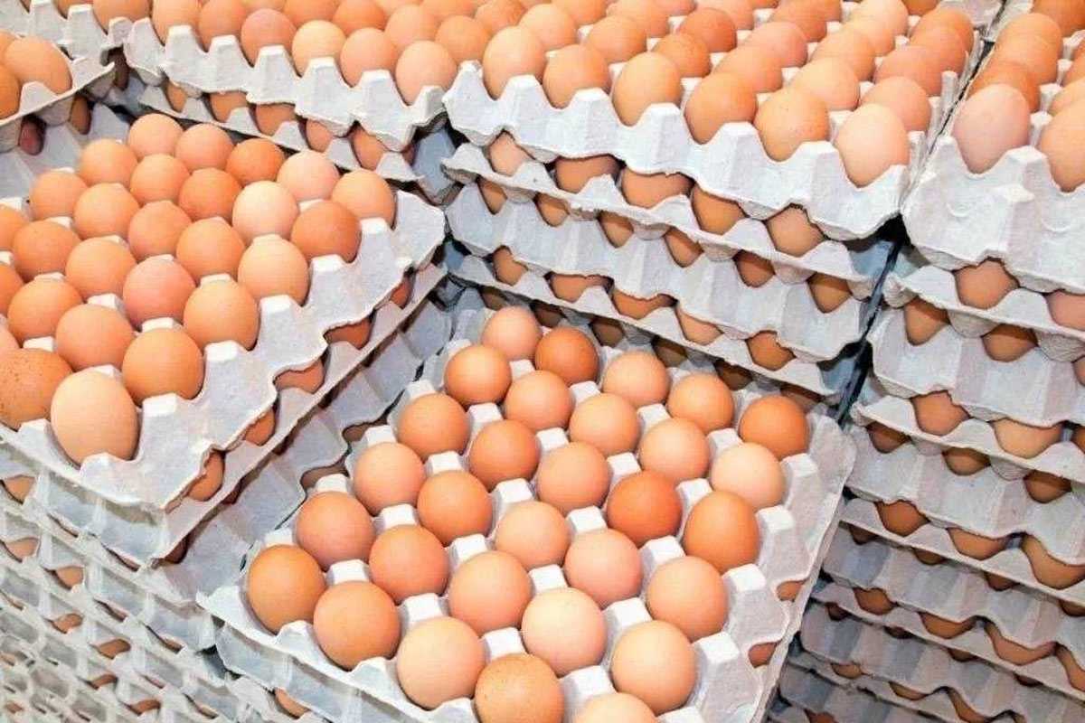 В магазинах впервые появятся яйца из экзотической страны: они по-настоящему удивят